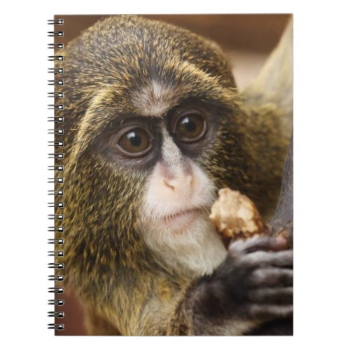 Monkey Climbing Tree Photo Notebook