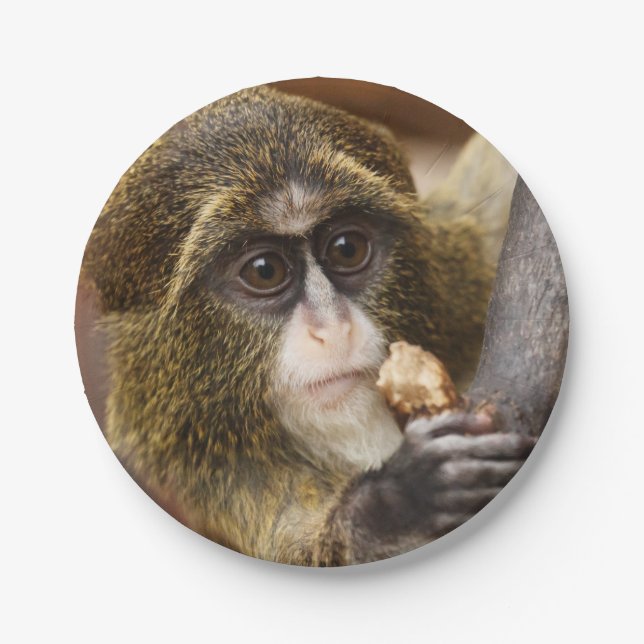 Monkey Climbing Tree Photo Paper Plates (Front)