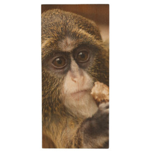 Monkey Climbing Tree Photo Wood Flash Drive