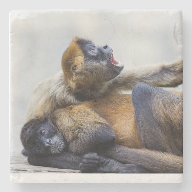 Monkey Coaster  (Front)