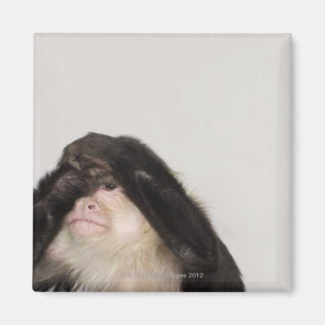 Monkey covering its eyes magnet (Front)