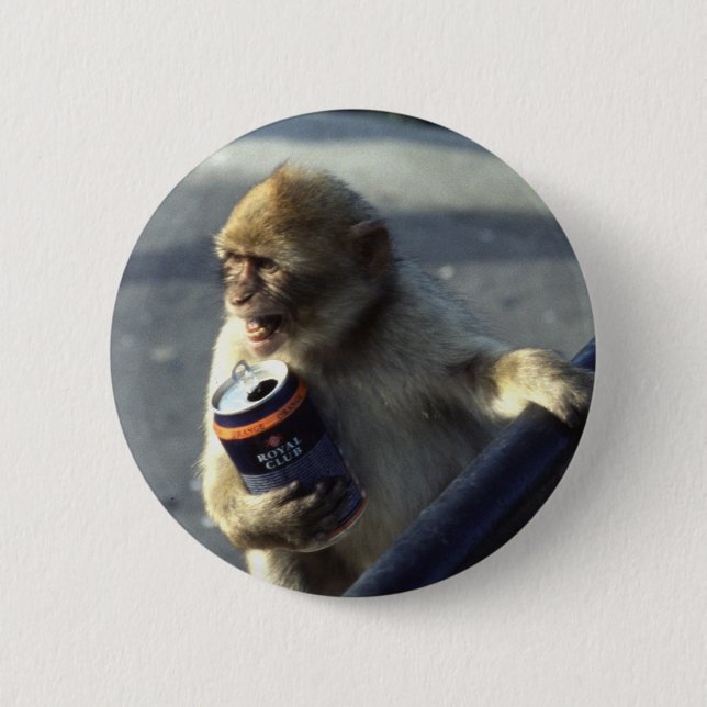 Monkey Drinking Pinback Button (Front)