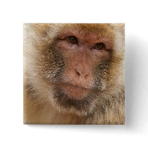 Monkey Face Square Pin