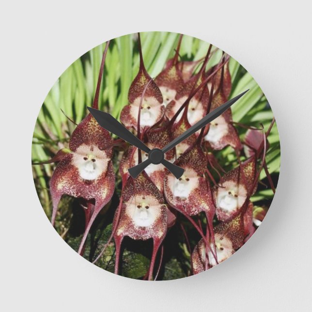 MONKEY FACED FLOWERS .- Miracles of Nature Round Clock (Front)