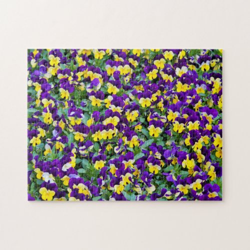 Monkey Faced Pansies Jigsaw Puzzle