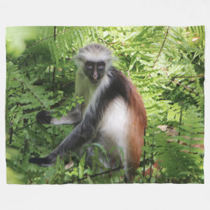 Monkey Fleece Blanket