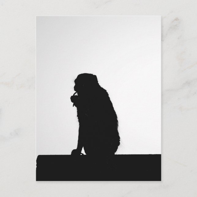 Monkey flossing silhouette photo postcard (Front)