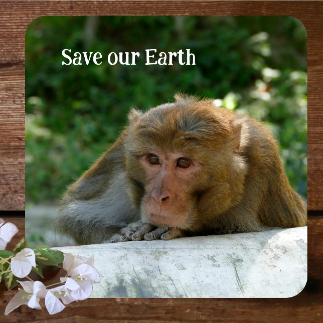 Monkey - Grandfather Beverage Coaster (Creator Uploaded)