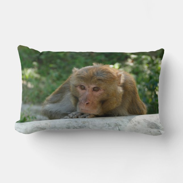 Monkey - Grandfather Lumbar Pillow (Front)