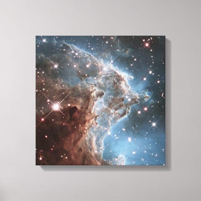 Monkey Head Nebula  Canvas Print (Front)