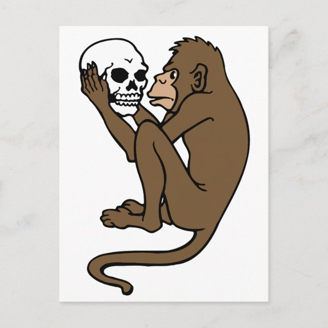 Monkey Holding A Skull Postcard (Front)