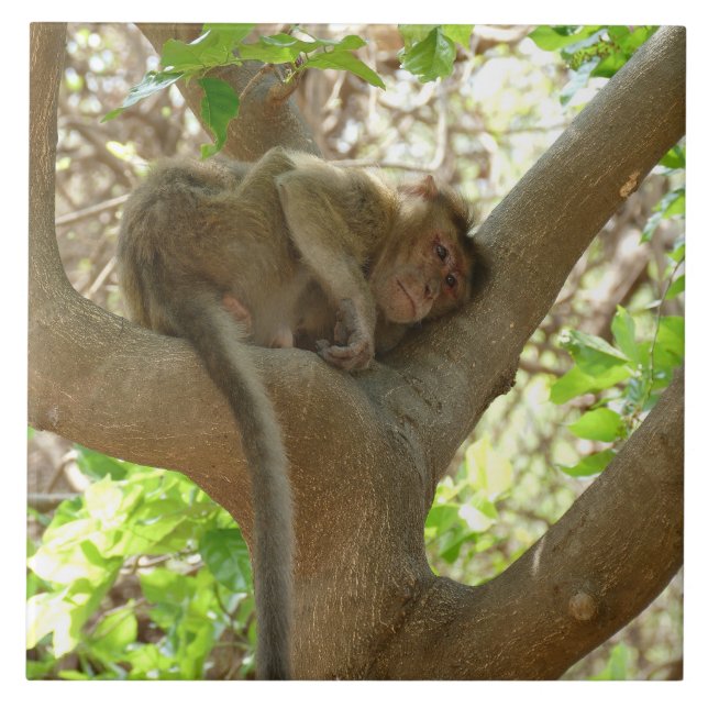 Monkey - I am sooo tired Ceramic Tile (Front)