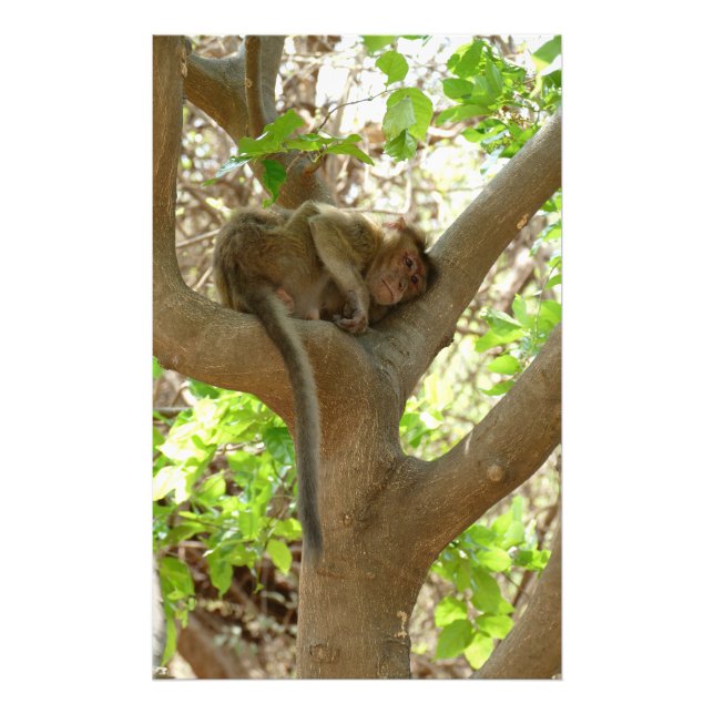 Monkey - I am sooo tired Photo Print (Front)