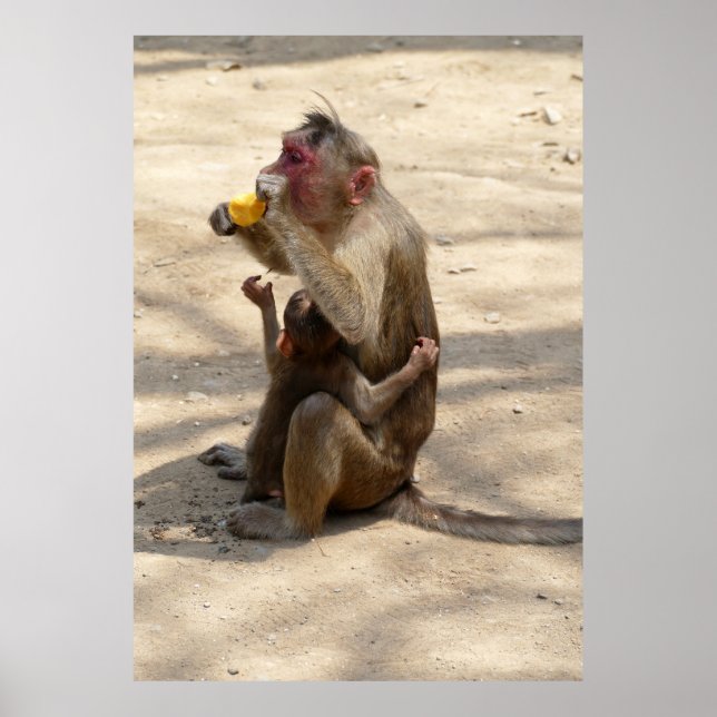 Monkey - I want somethin too Poster (Front)