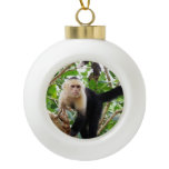 Monkey in Costa Rica Ceramic Ball Christmas Ornament