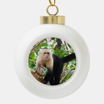Monkey In Costa Rica Ceramic Ball Christmas Ornament by GoingPlaces at Zazzle