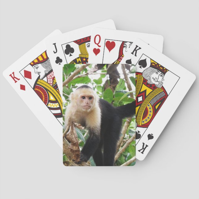 Monkey in Costa Rica Poker Cards (Back)
