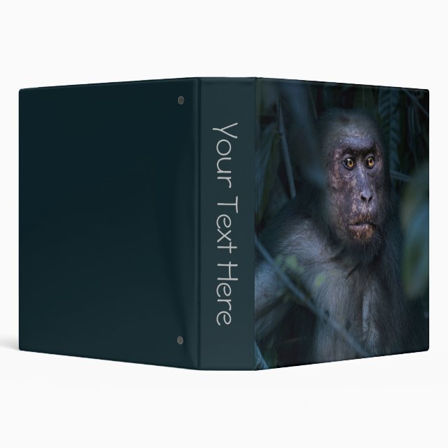 Monkey in the Jungle 3 Ring Binder (Background)