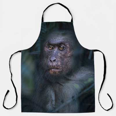 Monkey in the Jungle