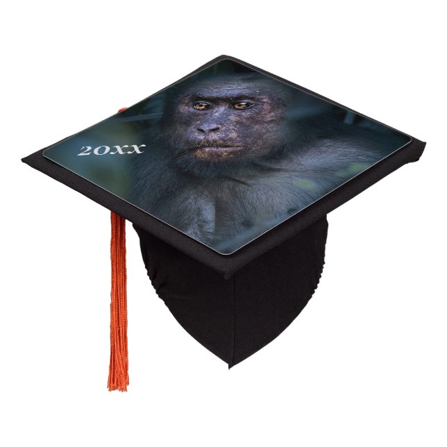 Monkey in the Jungle Graduation Cap Topper (Angled)