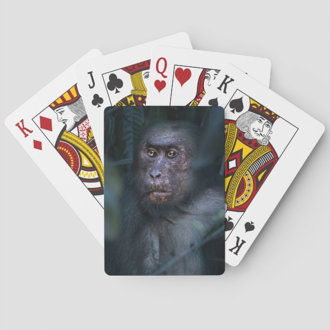 Monkey in the Jungle Poker Cards (Back)