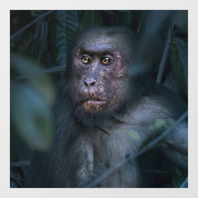 Monkey in the Jungle Window Cling (Sheet)