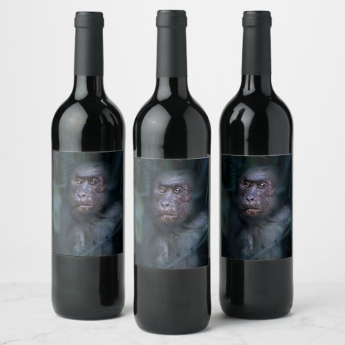 Monkey in the Jungle Wine Label