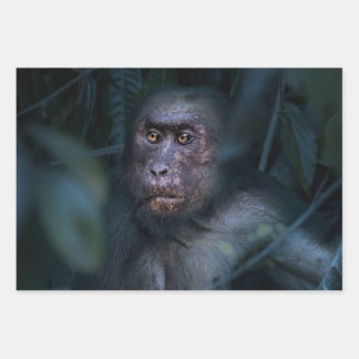 Monkey in the Jungle Wrapping Paper Sheets