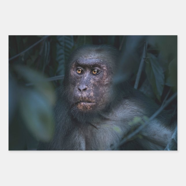 Monkey in the Jungle Wrapping Paper Sheets (Front 3)