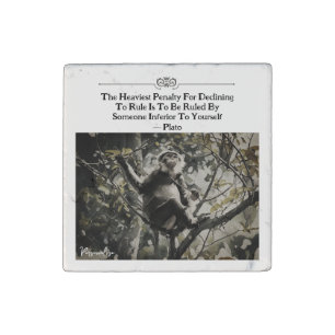 Monkey In Tree Plato Rule Quote Personal Fun Stone Magnet