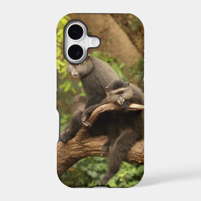 Monkey iPhone 5 Case (Back)