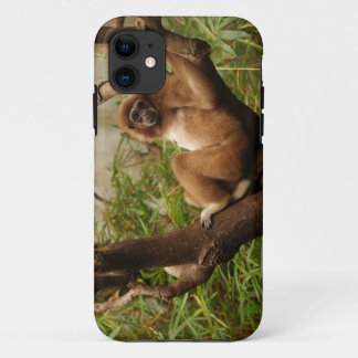 Monkey iPhone 5 11 Case
