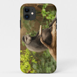 Monkey iPhone 5 11 Case