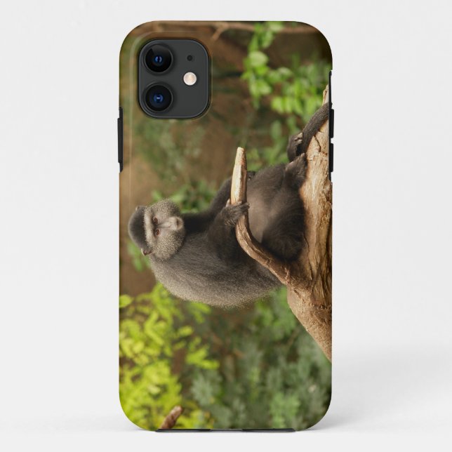 Monkey iPhone 5 Case-Mate iPhone Case (Back)