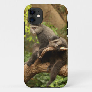Monkey iPhone 5 11 Case