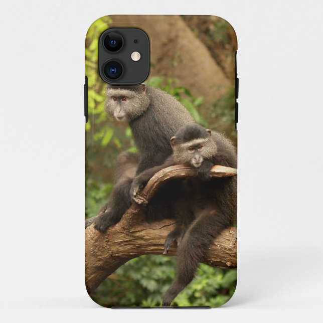 Monkey iPhone 5 Case-Mate iPhone Case (Back)