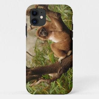 Monkey iPhone 5 11 Case