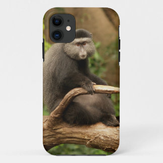 Monkey iPhone 5 11 Case