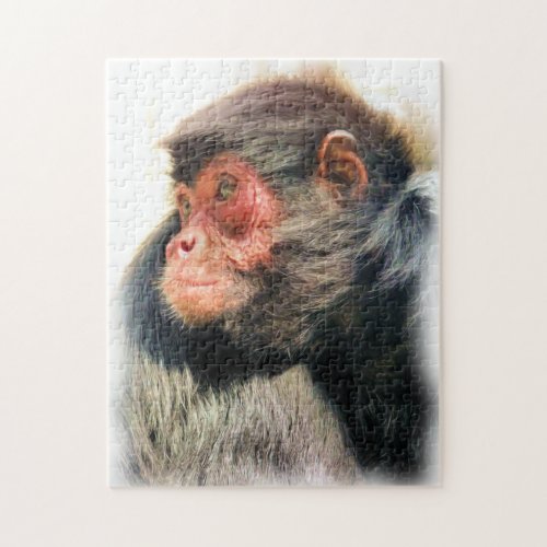 MONKEY JIGSAW PUZZLE