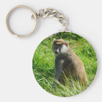 monkey key chain