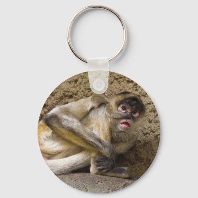 monkey keychain (Front)
