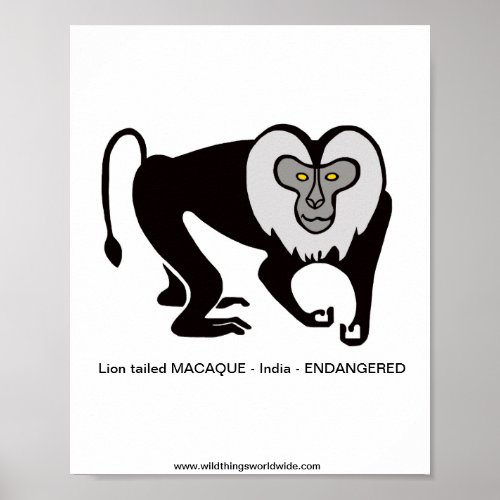 Monkey _ Lion_tailed MACAQUE _Endangered animal Poster