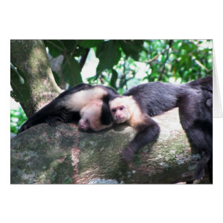 Monkey Love Cards