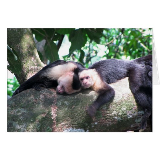 Monkey Love Cards (Front Horizontal)