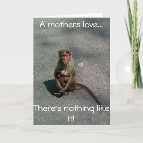 Monkey Mothers DayBirthday Card Mom