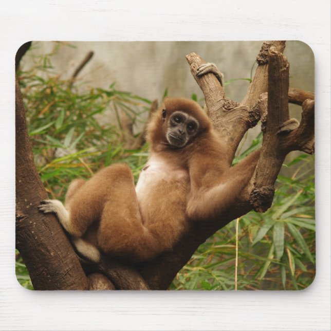 Monkey Mousepad (Front)