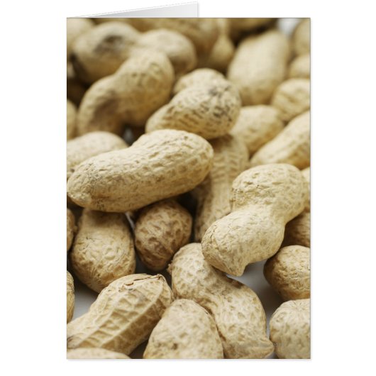 Monkey nuts. cards (Front)