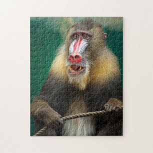 Monkey Photograph Best Wildlife Photos Jigsaw Puzzle
