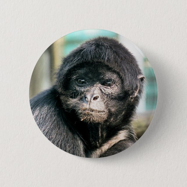 MONKEY PINBACK BUTTON (Front)