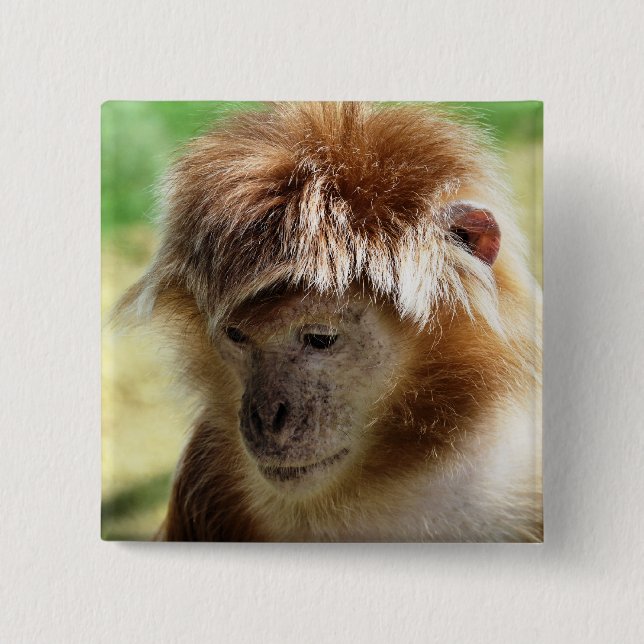 MONKEY PINBACK BUTTON (Front)